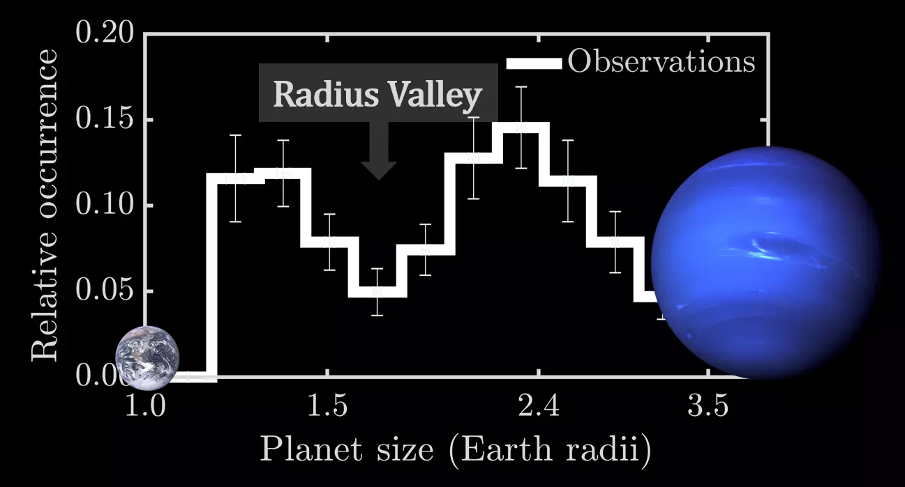 Observed planet size distribution